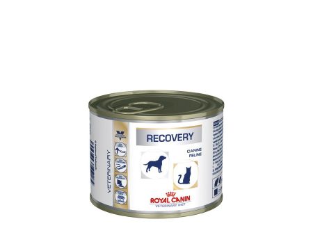 WET FOOD - Recovery for Dogs Cats (cans) Online now