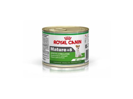 Canine Health Nutrition Mini Mature+8 (cans) Online Hot Sale