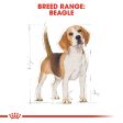 Breed Health Nutrition Beagle Adult 3 KG Supply