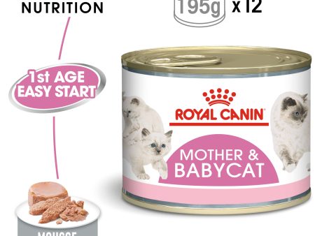 WET FOOD - Babycat Instinctive (cans) Cheap