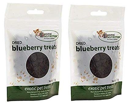 Dried Blueberry Treats Fashion