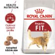 Feline Health Nutrition Fit 32 - 10 KG Online