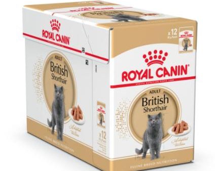 WET FOOD - British Shorthair pouch For Discount