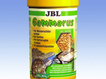 JBL Gammarus 1 L Supply