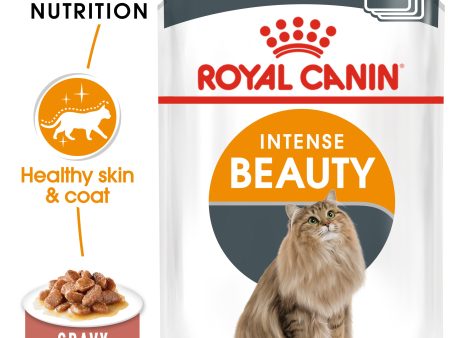 WET FOOD - Intense Beauty (pouches) Supply